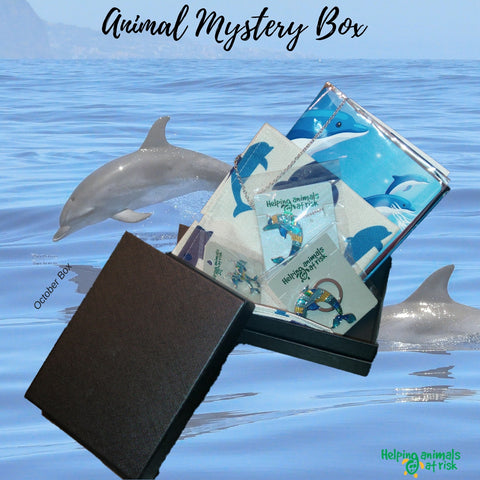 Monthly Animal Mystery Box