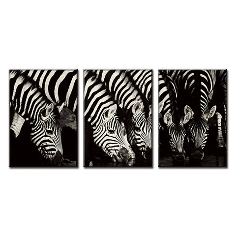 3 Pieces Zebras Wall Canvas