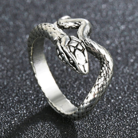 The Round Silver Spider