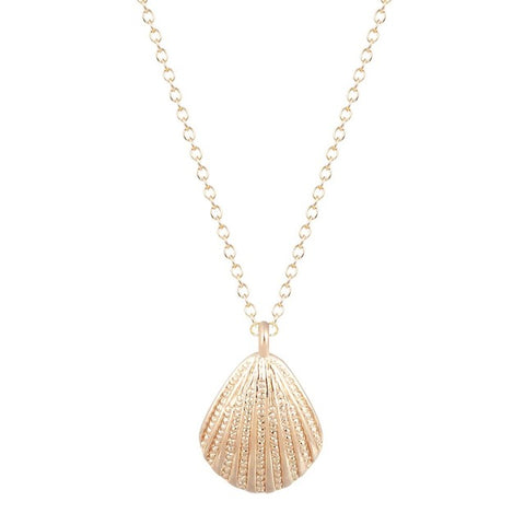 Free Ocean Seashell Necklace