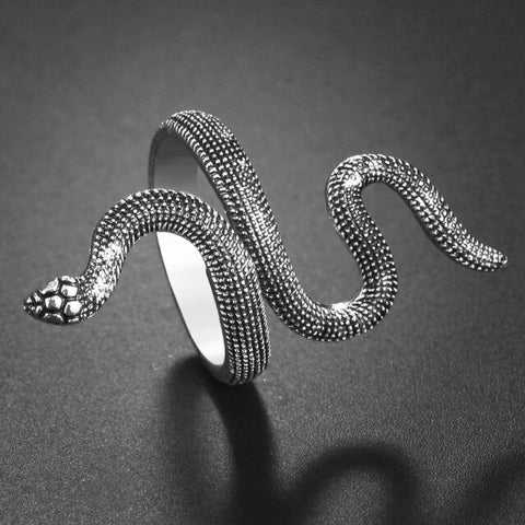 Silver Spider