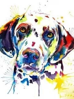 *FREE* Dog Diamond Kit