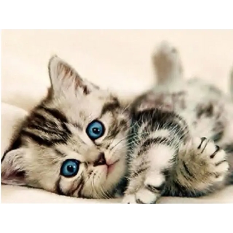 *FREE* CAT Diamond Kit