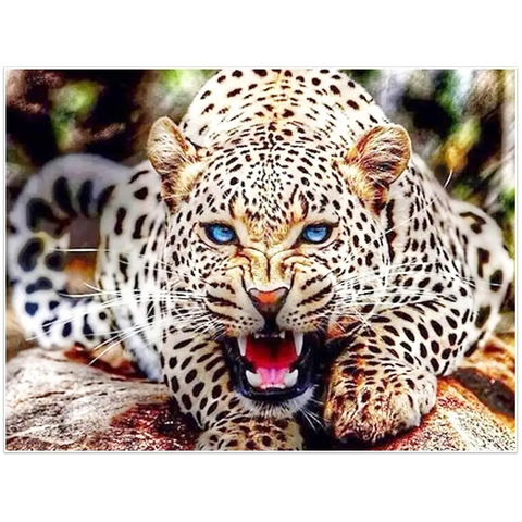 *FREE* Cheetah Diamond Kit
