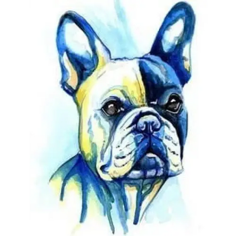 *FREE* Dog Diamond Kit