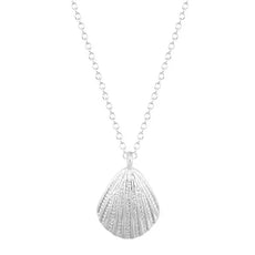 Free Silver Shell Necklace