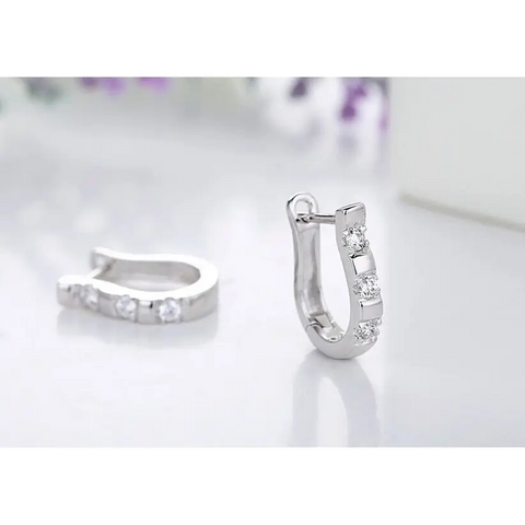 Earrings - Horse Shoe Earrings