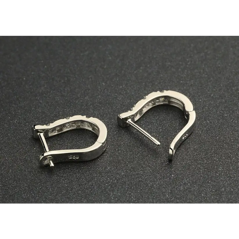 Earrings - Horse Shoe Earrings