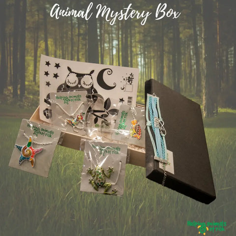 Monthly Animal Mystery Box