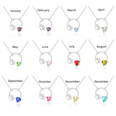 Paw Birthstone Necklace