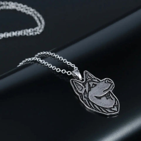 Siberian Husky Dog