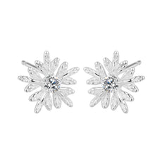 Snowflake Silver Earrings