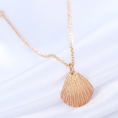 Free Ocean Seashell Necklace