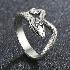 The Round Silver Spider