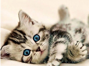 *FREE* CAT Diamond Kit