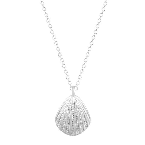Free Ocean Seashell Necklace