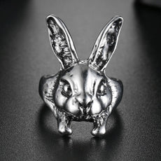 My Rabbit
