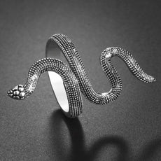 Silver Spider