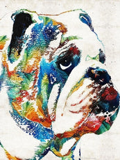 *FREE* Dog Diamond Kit
