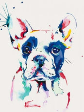 *FREE* Dog Diamond Kit