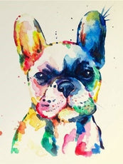 *FREE* Dog Diamond Kit